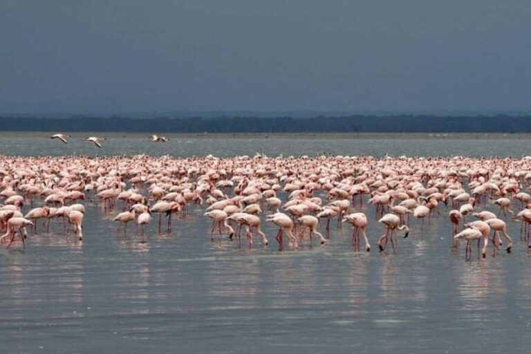 From Nairobi: Overnight Lake Nakuru and Hells Gate - Who Should Consider This Tour?