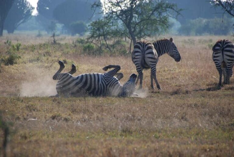From Nairobi: Overnight Lake Nakuru & Hell's Gate Park - Practicalities and Value