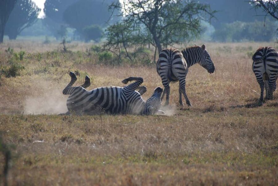 From Nairobi: Overnight Lake Nakuru & Hell's Gate Park - Practicalities and Value