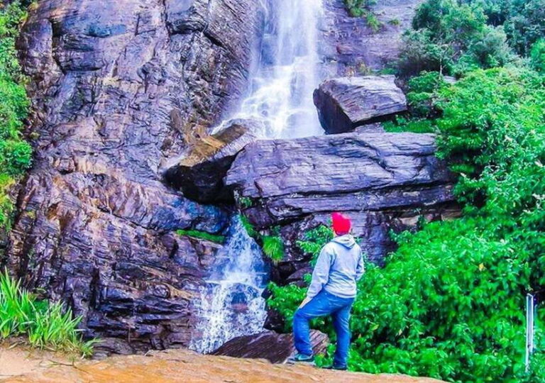 From Negombo: 2-Day Nuwara Eliya, Kandy, & Waterfalls Tour - Practicalities: Cost, Value, and Logistics