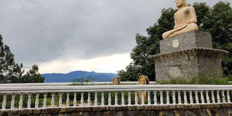 From Negombo: Ambuluwawa Tower & Tea Factory,Kandy Day Trip - Who Will Enjoy This Tour?