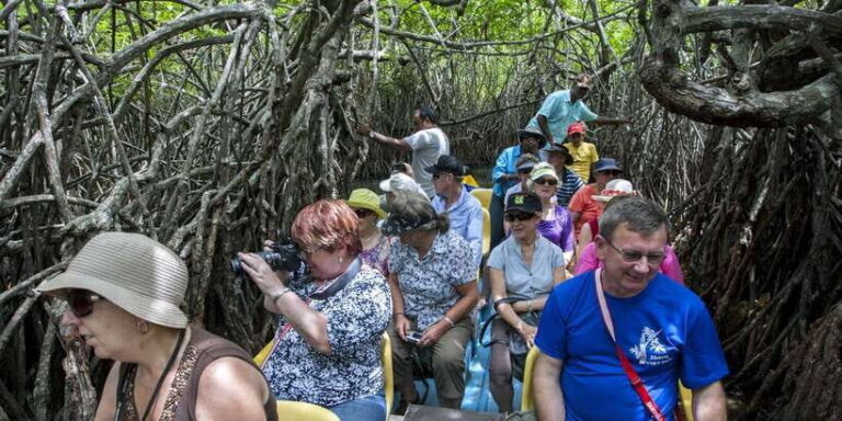 From Negombo: Bentota Full-Day Tour - What Travelers Are Saying