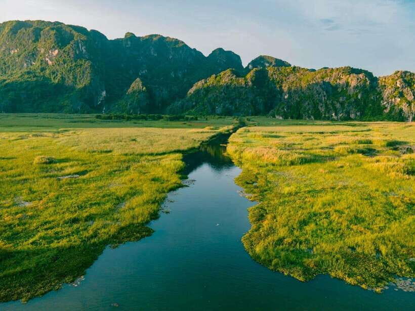 From Ninh Binh: Cuc Phuong National Park 1-Day Small Group - What Travelers Can Expect: A Balanced View