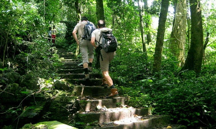 From Ninh Binh: Cuc Phuong National Park Day Trip with Lunch - A Detailed Look at the Cuc Phuong National Park Day Trip