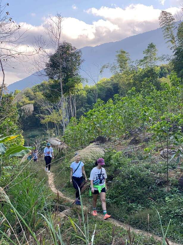 From Ninh Binh: Pu Luong 3D2N Classic Tour, finish in Hanoi - What to Expect: An In-Depth Look at the Journey