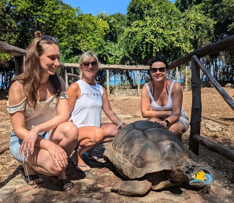 From Nungwi/Kendwa: Prison Island & Nakupenda Sandbank Trip - What the Reviews Reveal