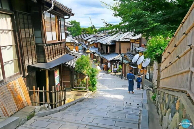 From Osaka: Kyoto and Nara Day Tour with Deer Sightings - Who Will Appreciate This Tour?