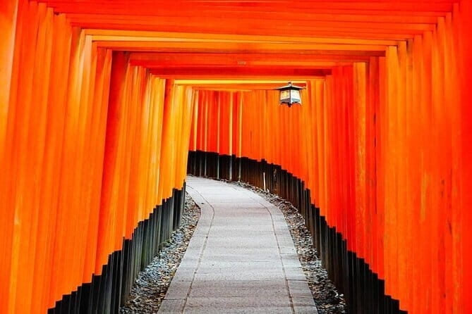 From Osaka/Kyoto: Kyoto & Nara Day Trip with Lunch - What the Tour Means for You