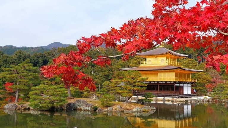 From Osaka/Kyoto: Kyoto UNESCO World Heritage Sites Day Tour - Transportation and Group Size