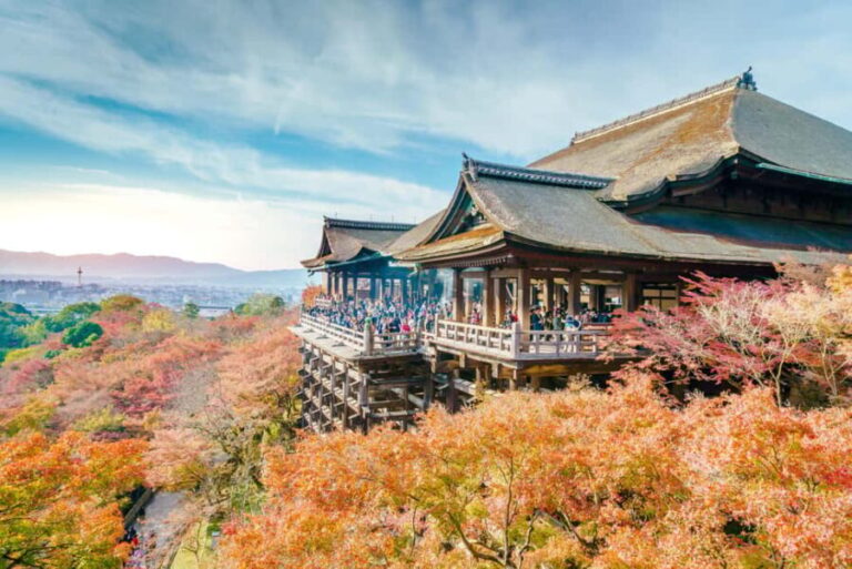 From Osaka: Kyoto & Nara Highlights Day Tour (7 attractions) - What the Tour Includes and What It Doesn’t