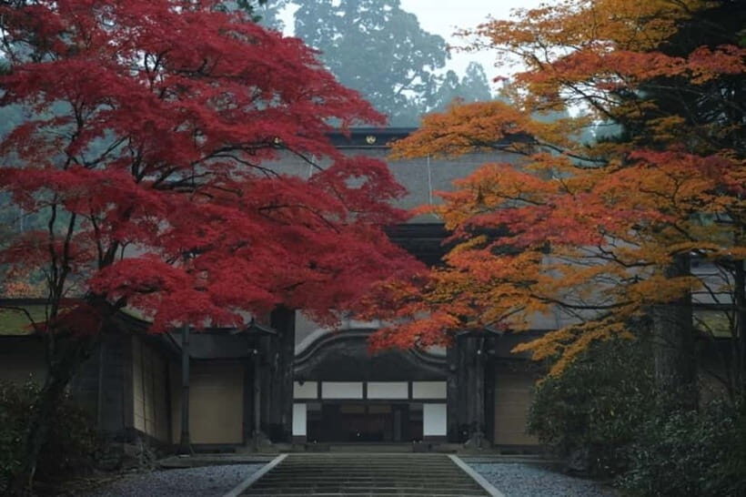 From Osaka: Mt. Koya Autumn Leaves Tour with Fruit Picking - Who Will Love This Tour?