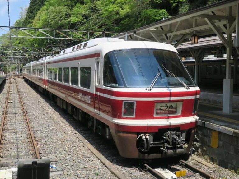 From Osaka: Private Guided Day Trip to Koyasan (UNESCO Site) - The Sum Up