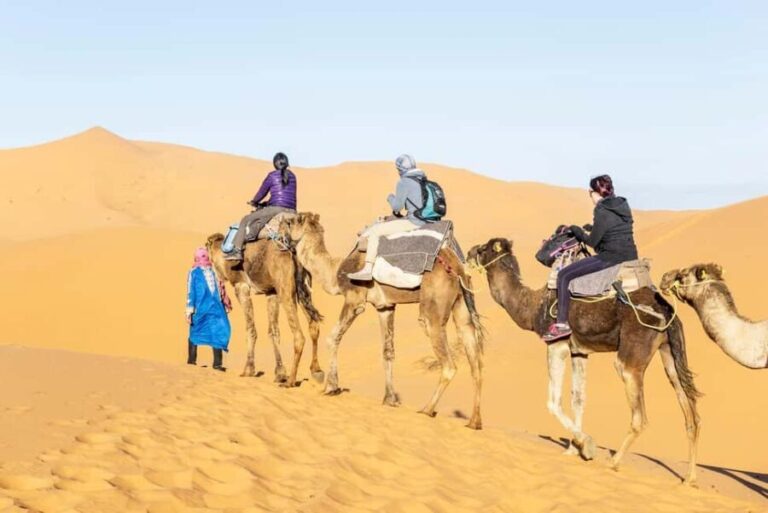 From Ouarzazate: Draa Valley, Camel Ride & Tinfou Dunes Trip - Exploring the Draa Valley