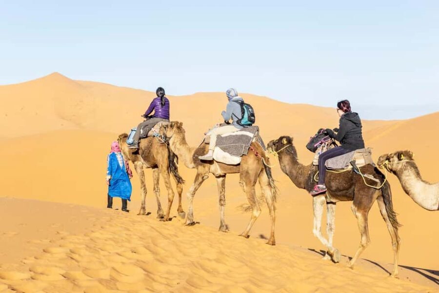 From Ouarzazate: Draa Valley, Camel Ride & Tinfou Dunes Trip - Exploring the Draa Valley
