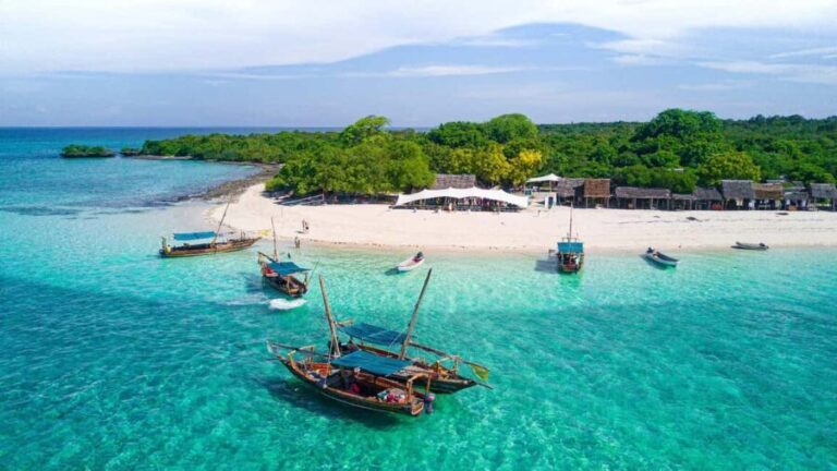 From Paje/Jambian: Safari Blue Snorkelling with Lunch - The Experience: What Travelers Say