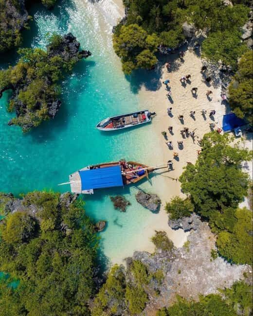 From Paje: Safari Blue Adventure with Snorkeling and Lunch - Is it Worth the Price?