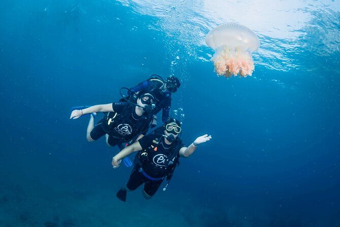 From Phi Phi Don | Half Day Discover Scuba Diving 2 Dives - What Makes This Tour Stand Out?