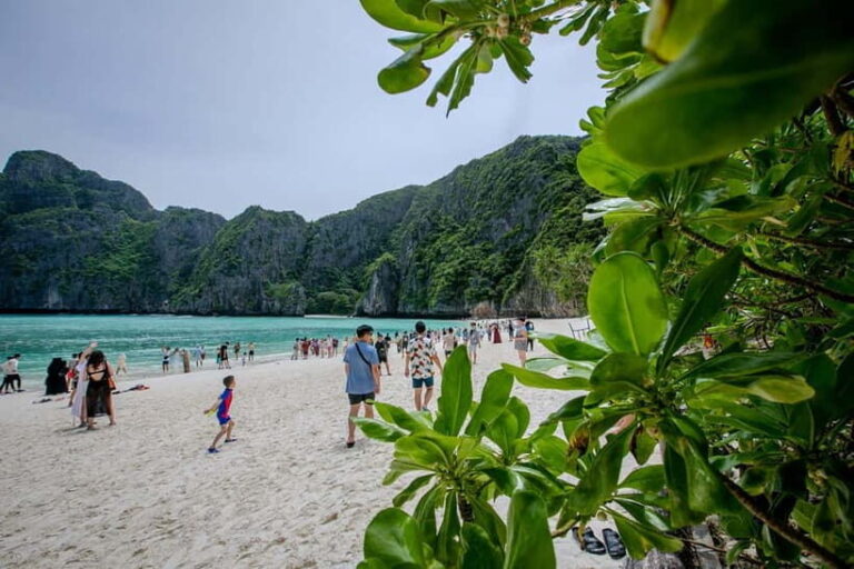 From Phi Phi: Half-Day Longtail Boat Tour to Maya Bay - A Detailed Look at the Itinerary and Highlights