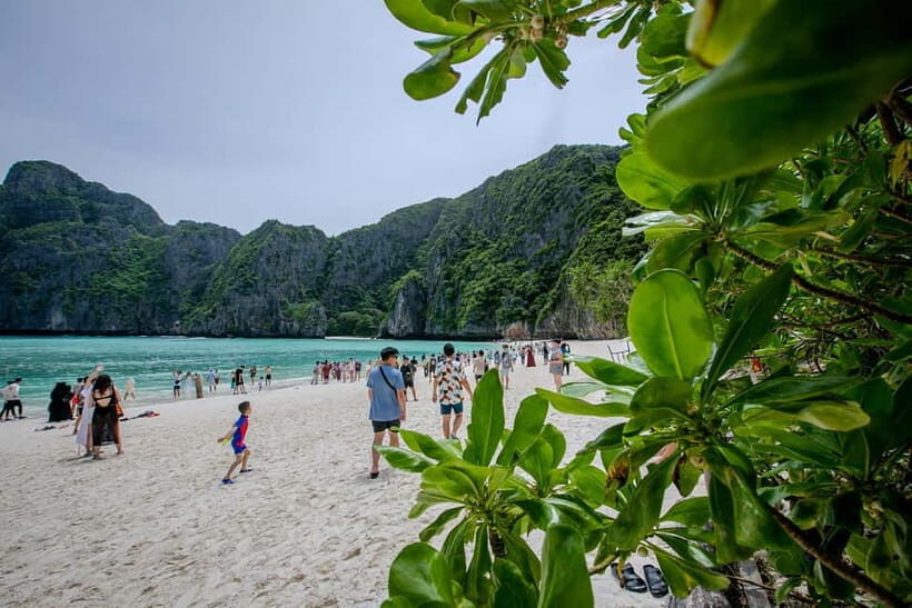 From Phi Phi: Half-Day Longtail Boat Tour to Maya Bay - A Detailed Look at the Itinerary and Highlights