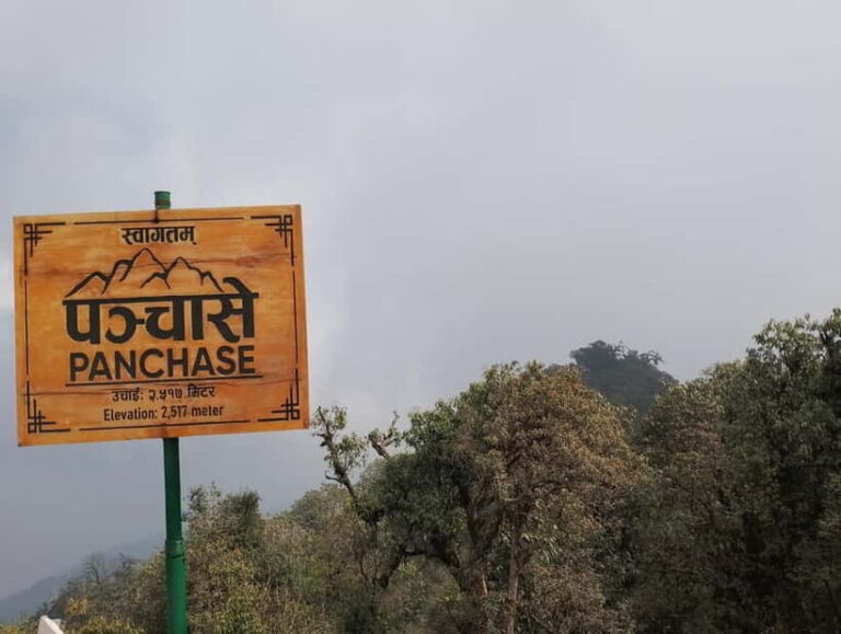 From Pokhara: 2-day Panchase Hill Hiking Tour & Return Drive - Who Will Love This Tour?