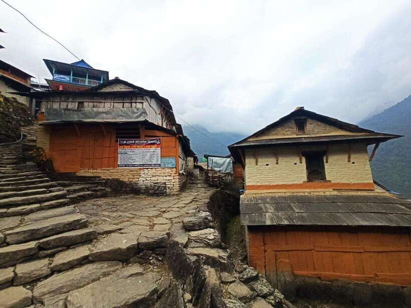 From Pokhara: 4-Day Poon Hill Trek with Transfers - Final Thoughts: Is This Trek Right for You?