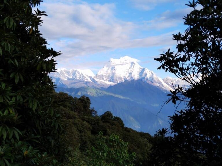 From Pokhara: 5 Day Poon Hill with Natural Hot Spring Trek - What You Get for $275