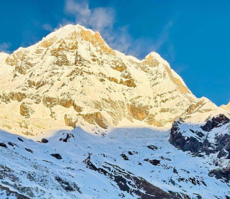 From Pokhara: 7-Day Annapurna Base Camp and Chitwan Tour - Trekking to Bamboo: A Day of Mountain and Forest Magic