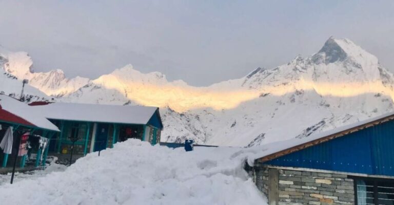 From Pokhara: 7 Days Budget backpackers group ABC Trek - Day 1: Nayapul to Ghandruk