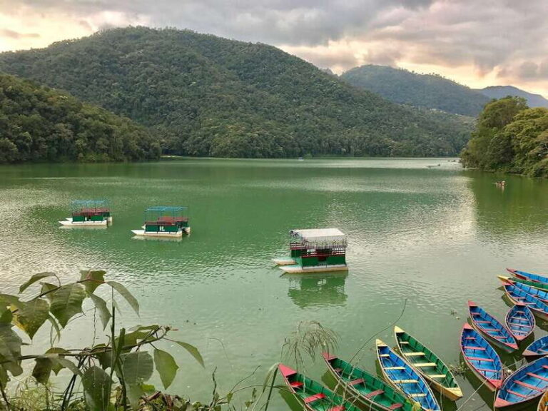 From Pokhara: Beautiful Peace Pagoda & Shiva Statue Day Hike - Who Will Love This Tour?