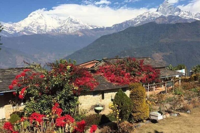 From Pokhara: Full Day Hiking to Astam Village - The Itinerary: What You Can Expect