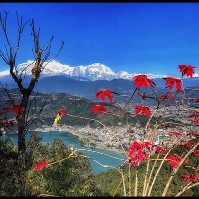 From Pokhara: Guided Tour to Visit 4 Himalayas View Point - Overview of the Itinerary