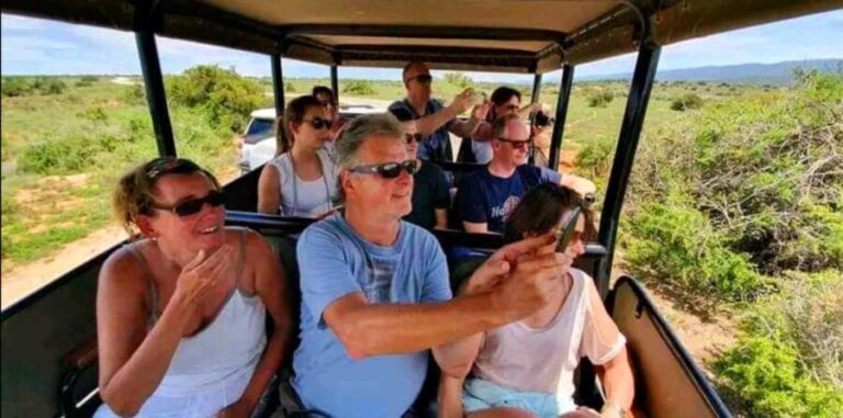 From Port Elizabeth: 5-Day Garden Route Tour to Cape Town - Accommodations & Logistics
