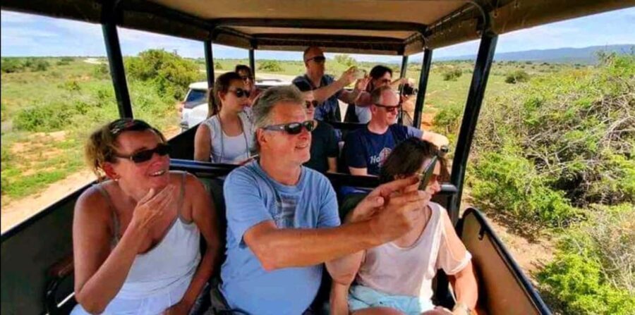 From Port Elizabeth: 5-Day Garden Route Tour to Cape Town - Accommodations & Logistics