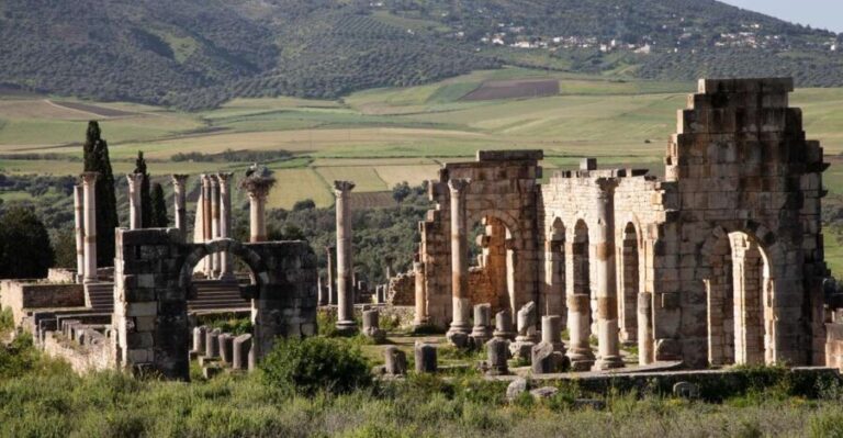 From Rabat: Volubilis and Meknes Full-day Tour - What Travelers Say: Insights from Reviews