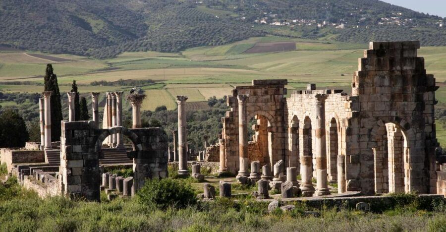 From Rabat: Volubilis and Meknes Full-day Tour - What Travelers Say: Insights from Reviews