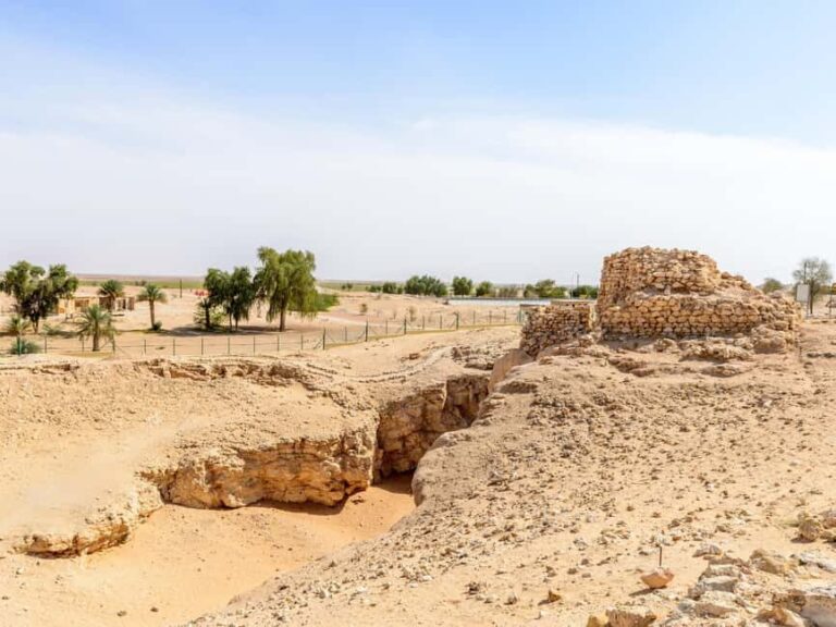 From Salalah: Lost City (Full Day Excursion to Rub Al Khali) - Real Traveler Feedback