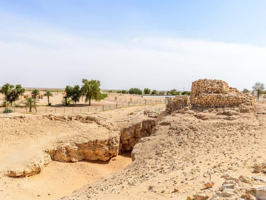 From Salalah: Lost City (Full Day Excursion to Rub Al Khali) - Real Traveler Feedback