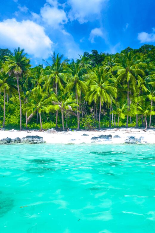 From Samui: Angthong National Park Snorkeling & Kayaking - The Guides and Group Size