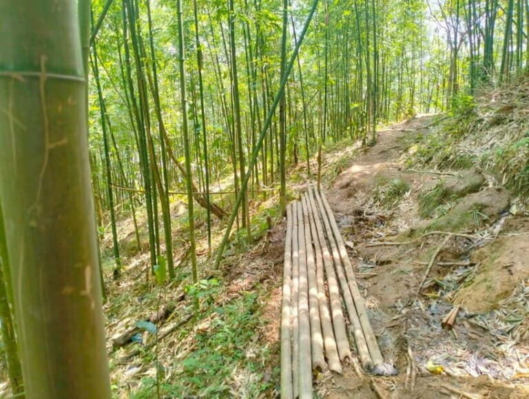 From Sapa 2-Day Sapa Trekking Trip with Homestay & Meals - What Makes This Tour Stand Out?