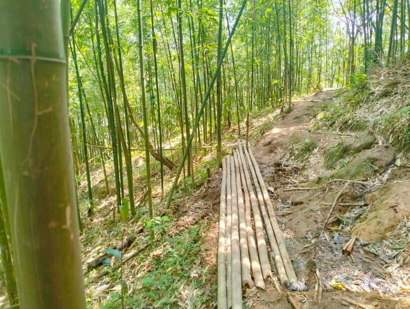 From Sapa 2-Day Sapa Trekking Trip with Homestay & Meals - What Makes This Tour Stand Out?