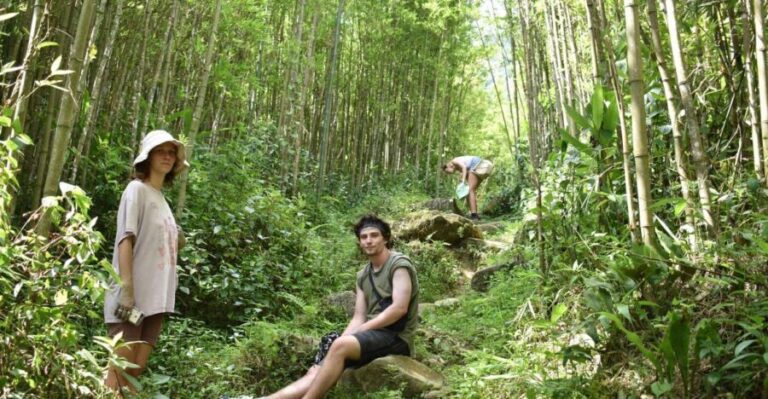 From Sapa: 2D1N Sapa Trekking Tour with Local Expert - Itinerary Breakdown and Highlights