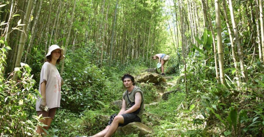 From Sapa: 2D1N Sapa Trekking Tour with Local Expert - Itinerary Breakdown and Highlights