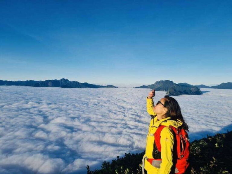 From Sapa: Full-Day Fansipan Peak Trekking Tour - Practical Details and What’s Included
