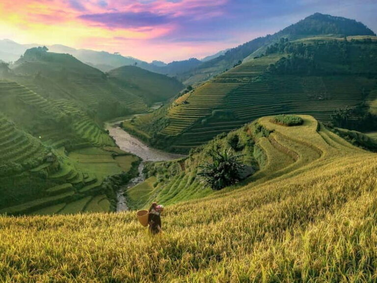 From Sapa Homestay Hideaway 2-Day Local Life Adventure - Value and Practical Details