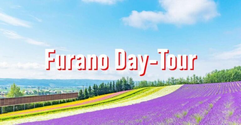 From Sapporo: 10-hour Customized Private Tour to Furano - In-Depth Breakdown of the Itinerary