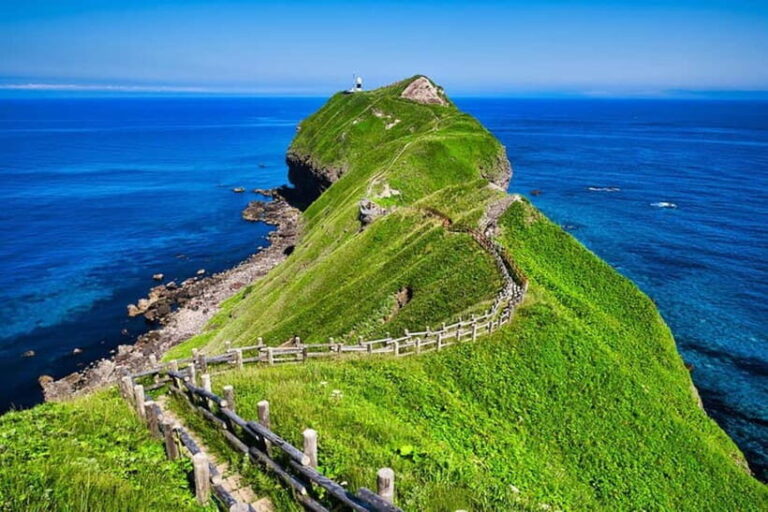 From Sapporo: Hokkaido Highlights Day Trip - Transportation, Group Size, and Practical Concerns