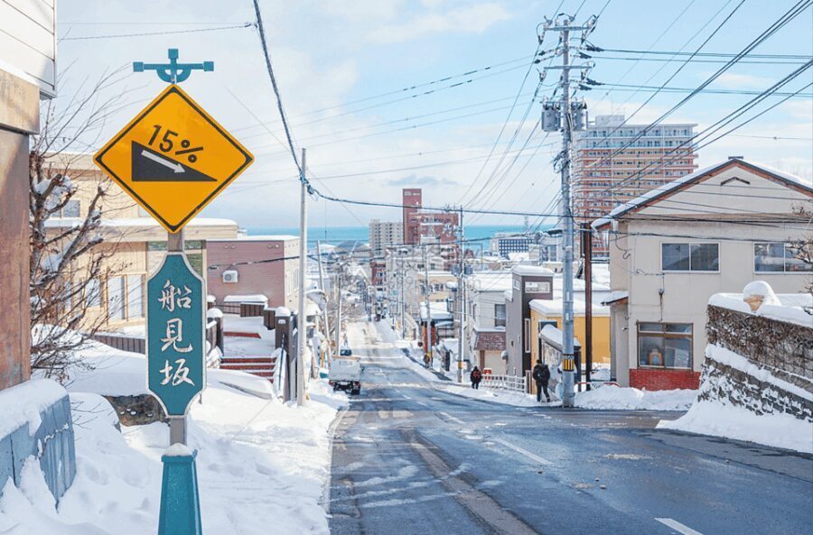 From Sapporo: Private Customized Day Tour to Otaru - Why This Tour Offers Good Value
