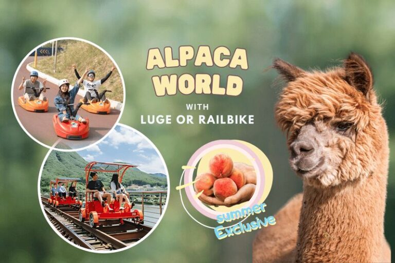 From Seoul: Alpaca Farm with Rail bike/ Luge Racing - Weather, Accessibility, and Practical Tips