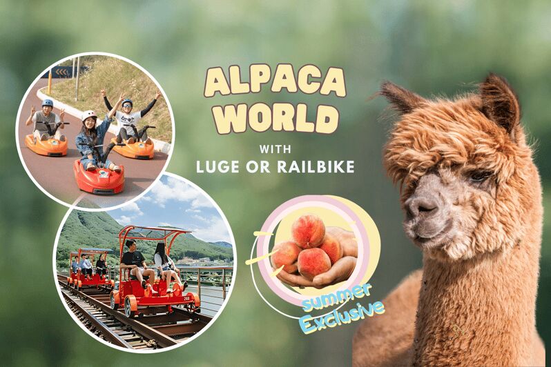 From Seoul: Alpaca Farm with Rail bike/ Luge Racing - Weather, Accessibility, and Practical Tips