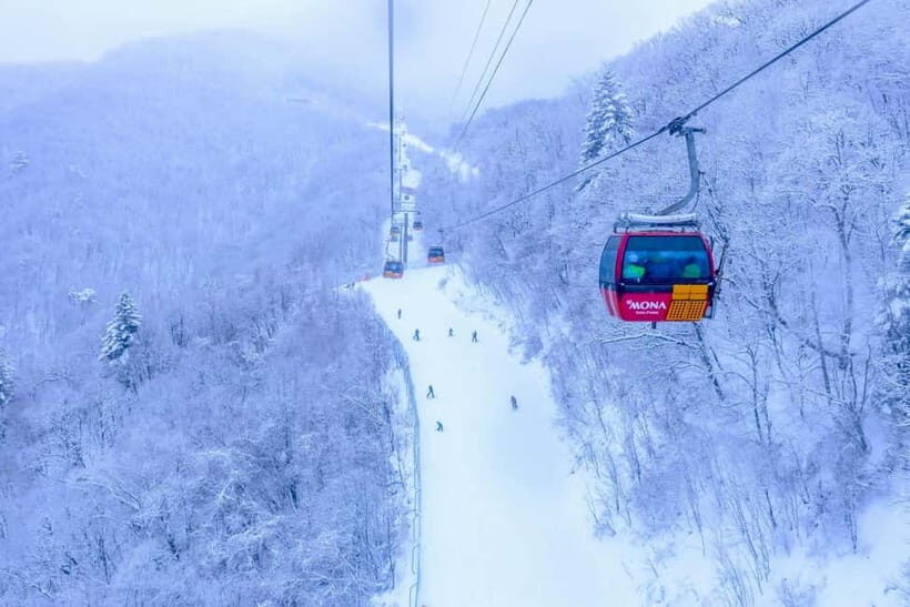 From Seoul: Balwangsan Cable Car and Daegwallyeong Ranch - An in-depth look at the experience